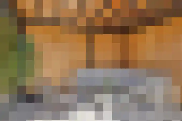 Standwerker 21 Ten Boer thumbnail 48