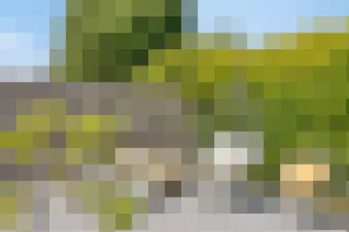 Standwerker 21 Ten Boer thumbnail 49