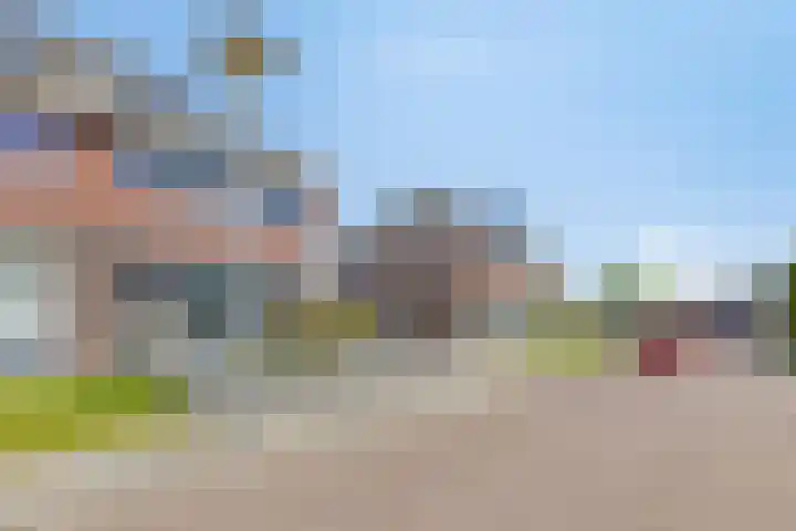 Standwerker 21 Ten Boer thumbnail 5