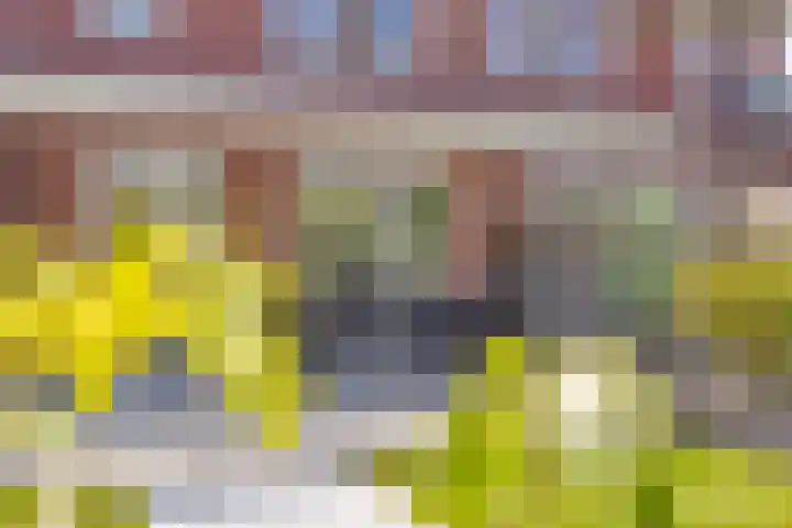 Standwerker 21 Ten Boer thumbnail 50