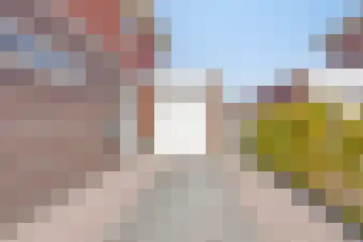 Standwerker 21 Ten Boer thumbnail 53
