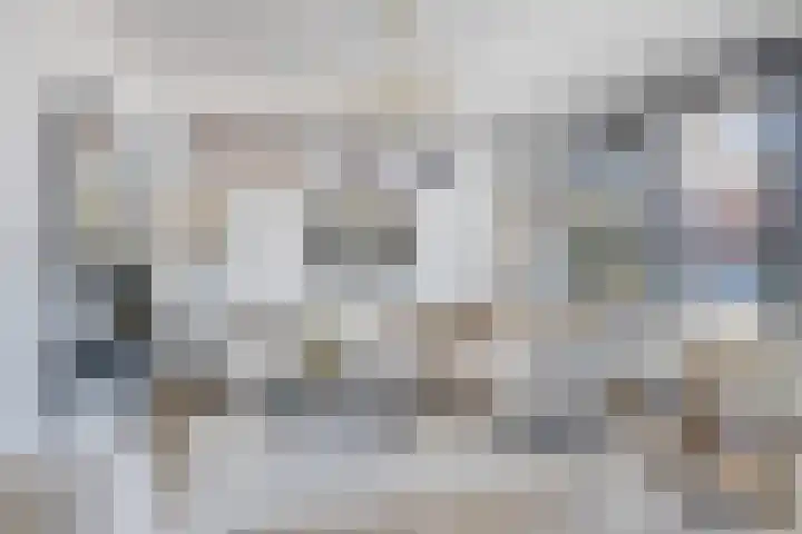 Standwerker 21 Ten Boer thumbnail 6