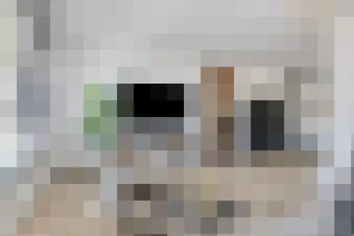 Standwerker 21 Ten Boer thumbnail 7