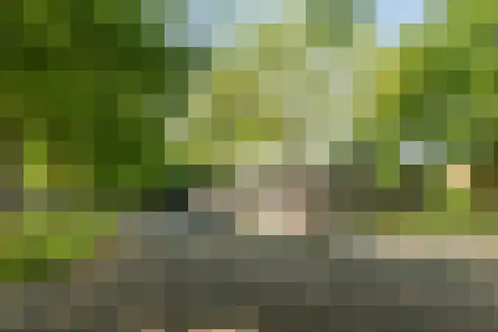 Stania 17 Drachten thumbnail 25