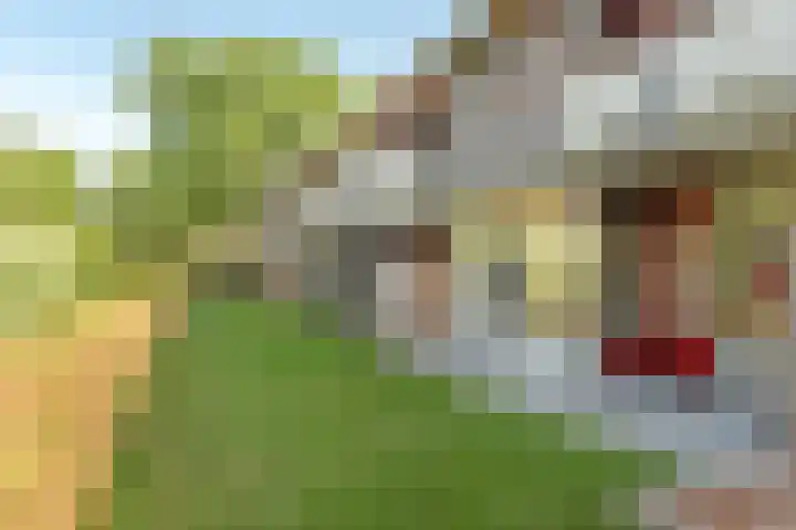 Stania 17 Drachten thumbnail 7