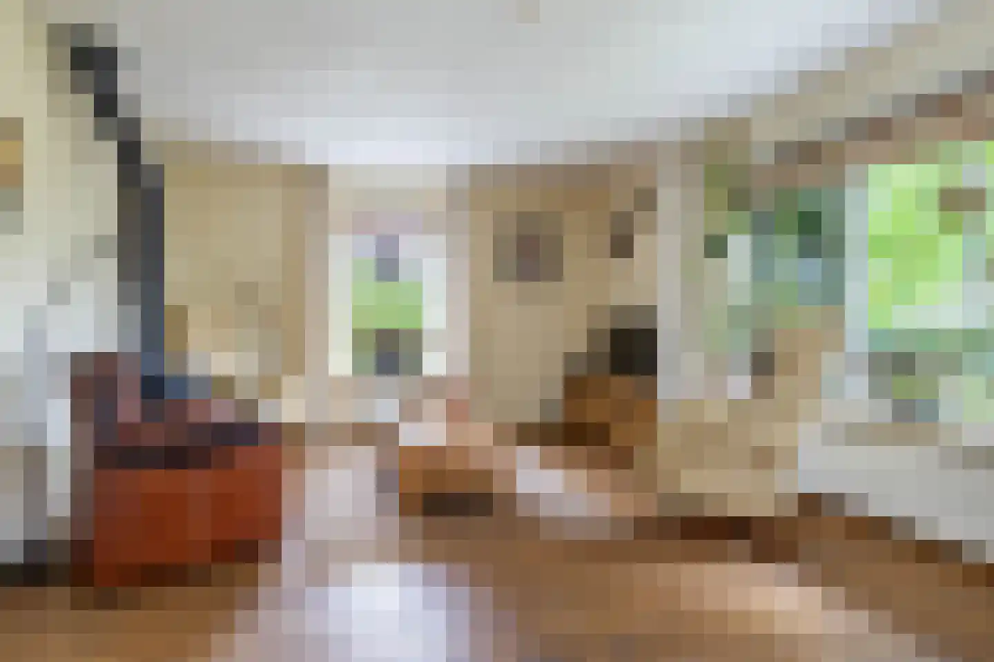 Staniastate 1 a Leeuwarden thumbnail 16