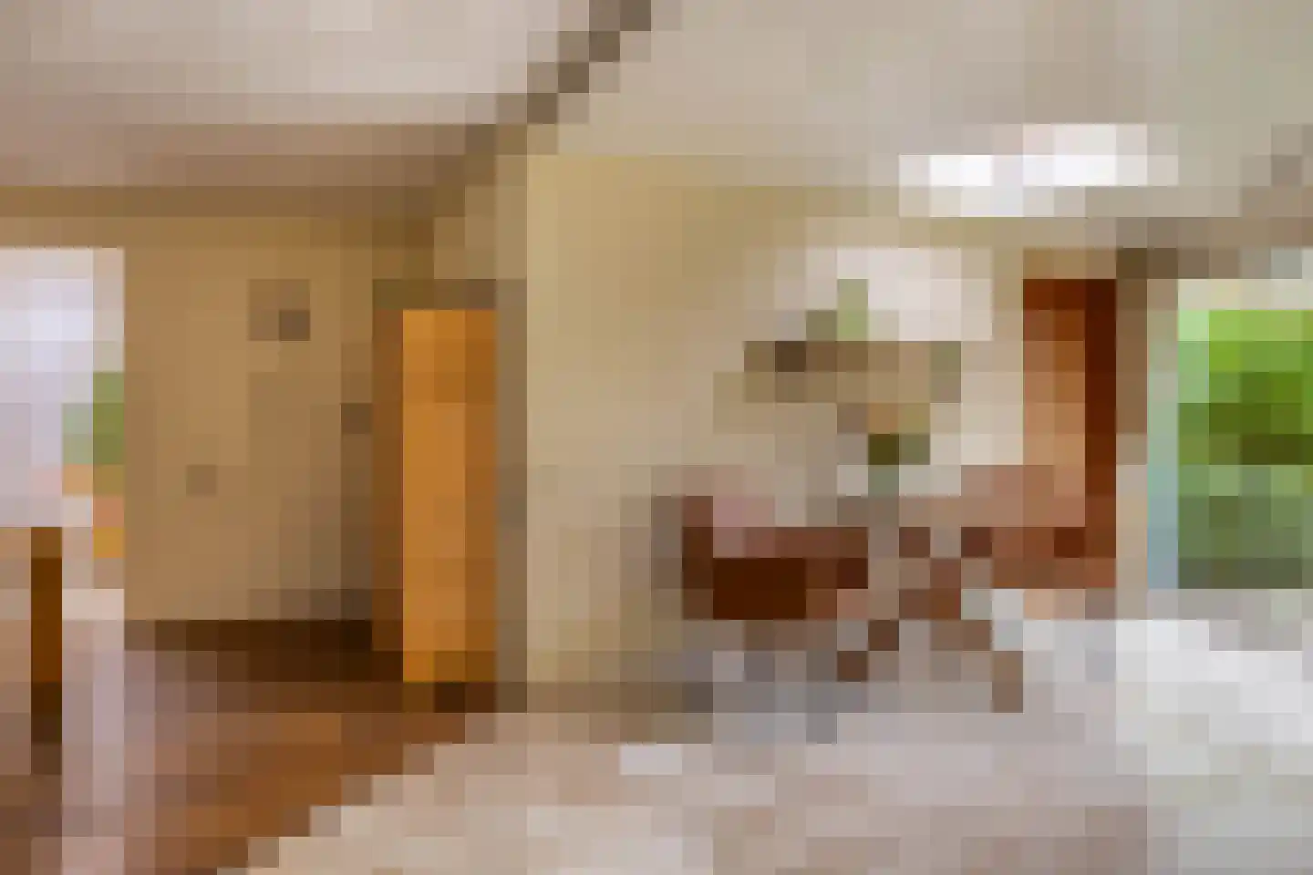 Staniastate 1 a Leeuwarden thumbnail 28