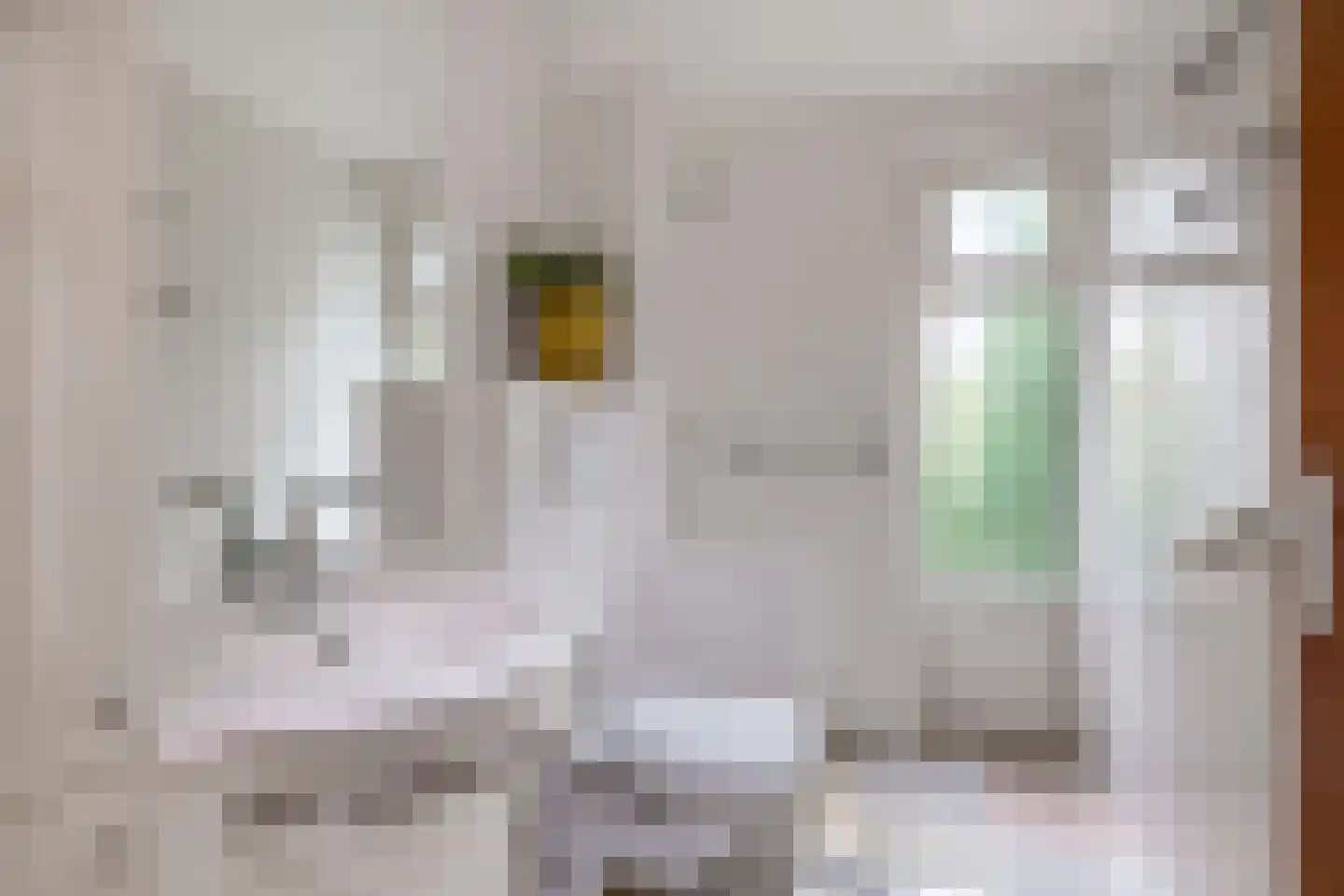 Staniastate 1 a Leeuwarden thumbnail 31