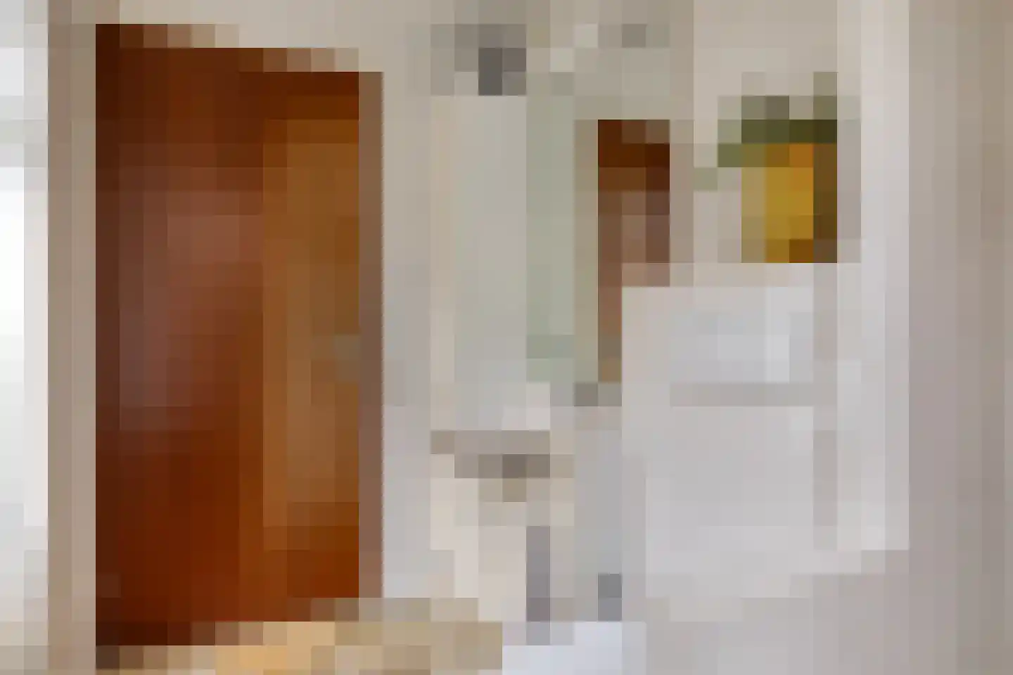 Staniastate 1 a Leeuwarden thumbnail 33