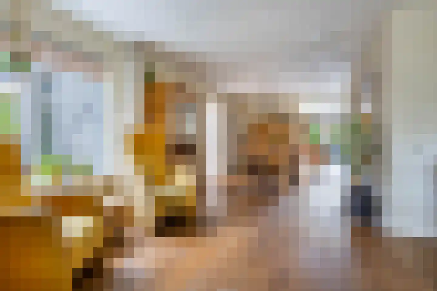 Staniastate 1 a Leeuwarden thumbnail 4
