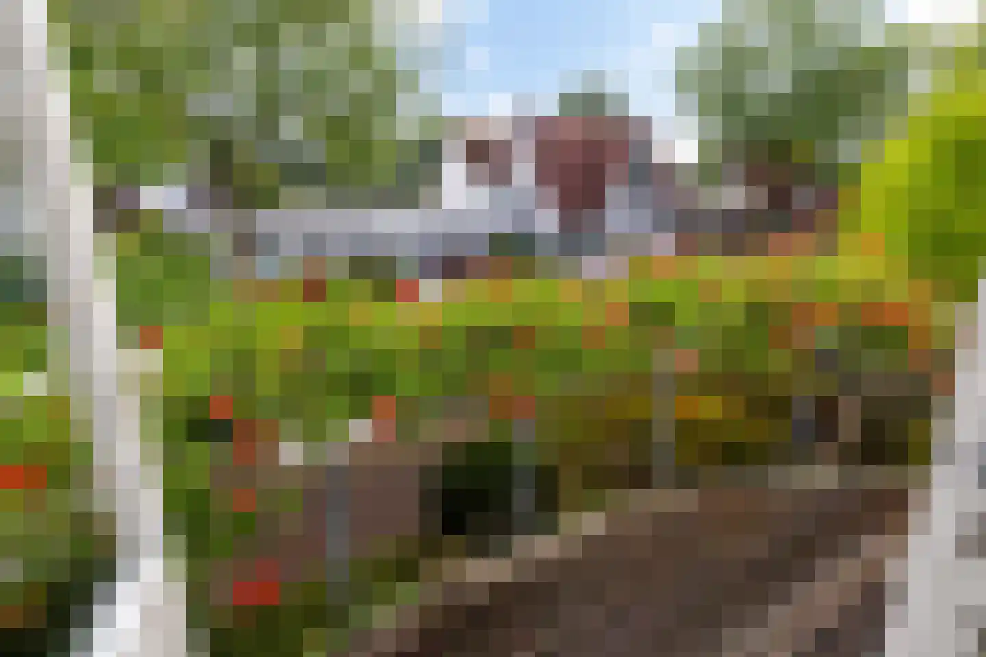 Staniastate 1 a Leeuwarden thumbnail 42