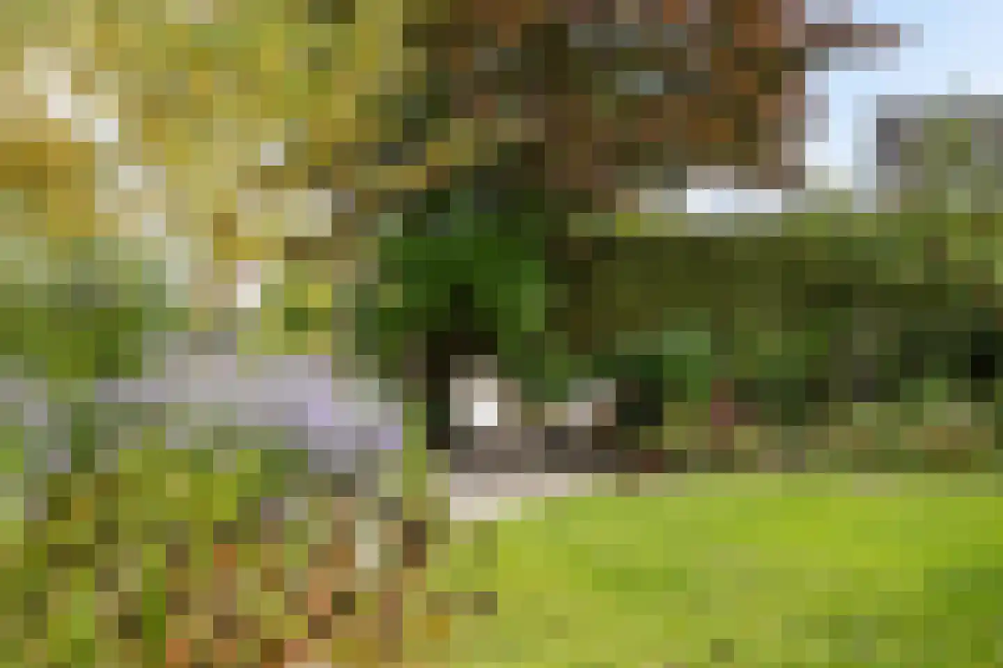 Staniastate 1 a Leeuwarden thumbnail 63