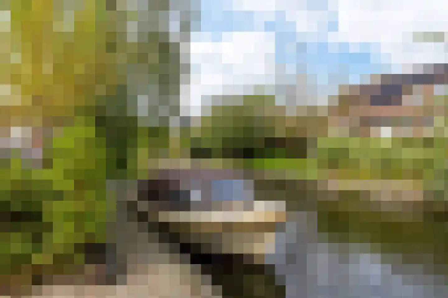 Staniastate 1 a Leeuwarden thumbnail 65