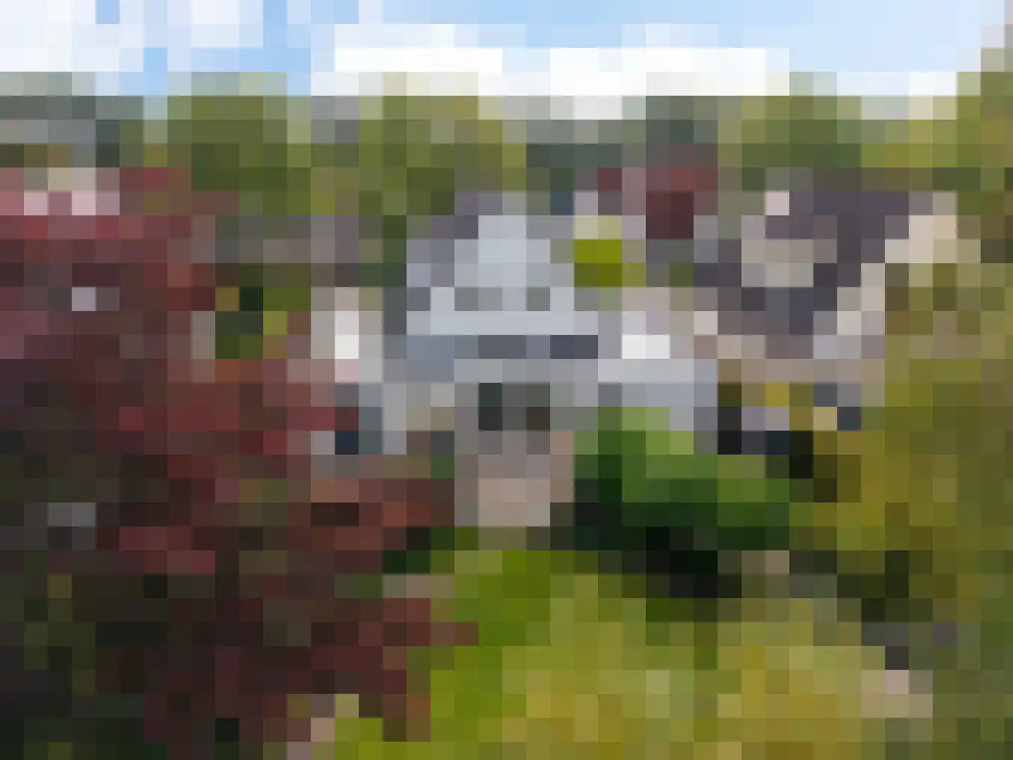 Staniastate 1 a Leeuwarden thumbnail 70