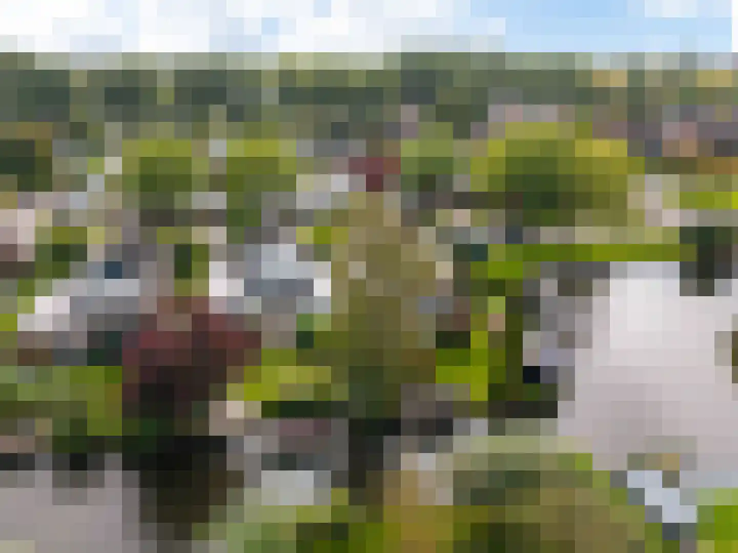 Staniastate 1 a Leeuwarden thumbnail 72