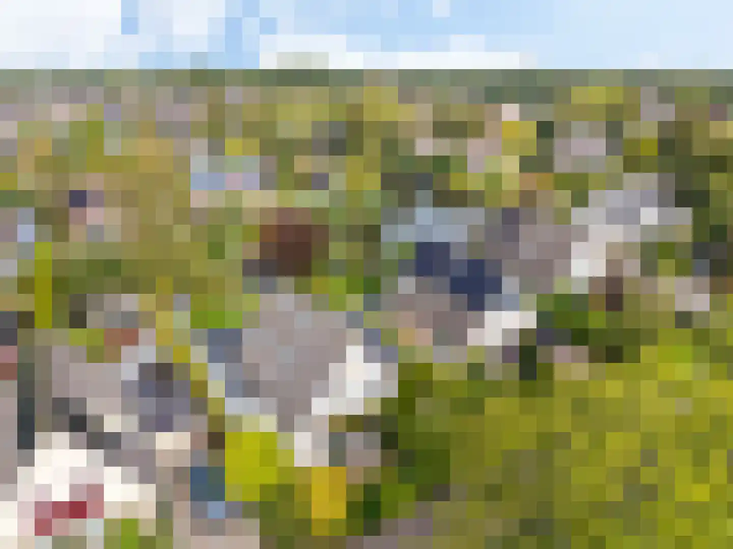 Staniastate 1 a Leeuwarden thumbnail 74