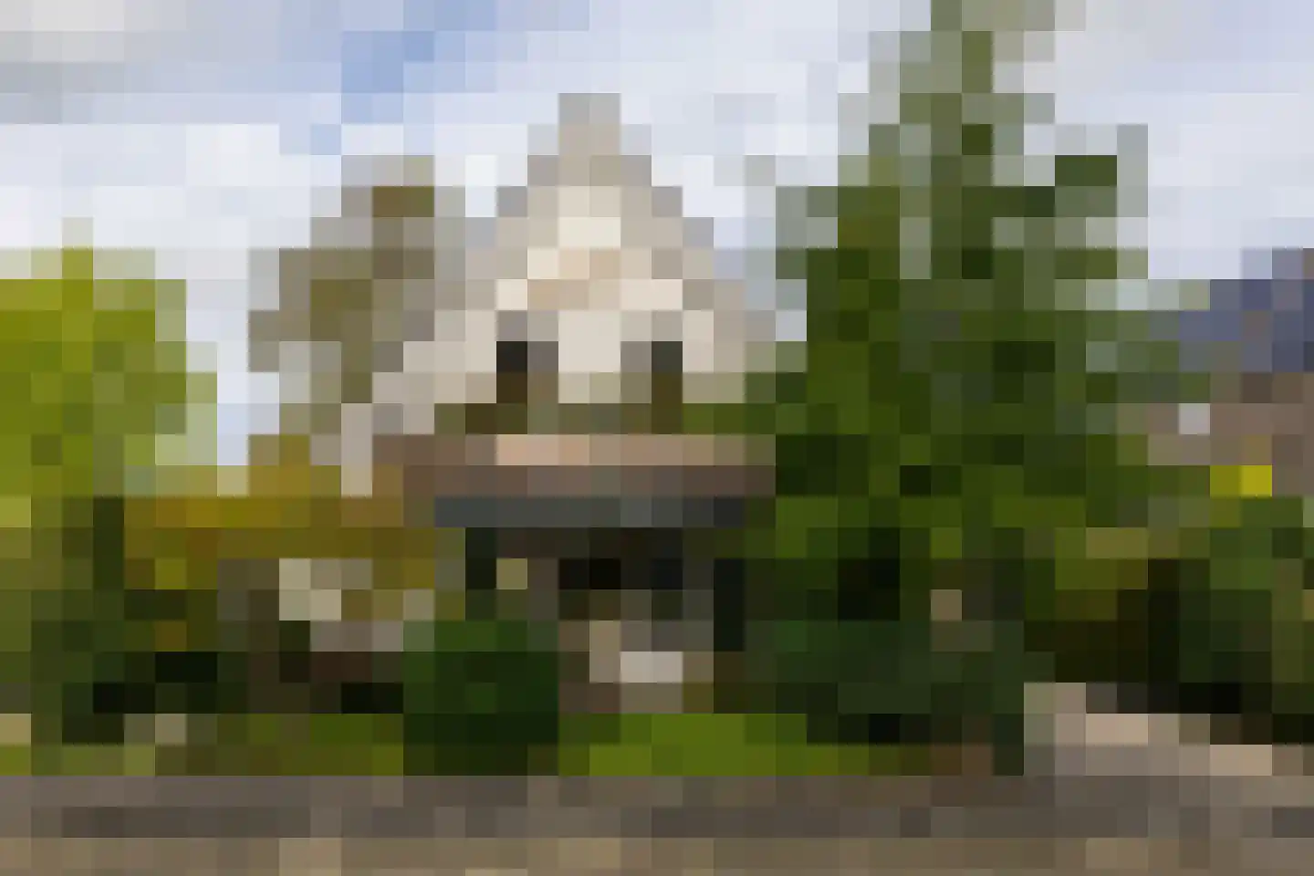 Staniastate 1 a Leeuwarden thumbnail 8