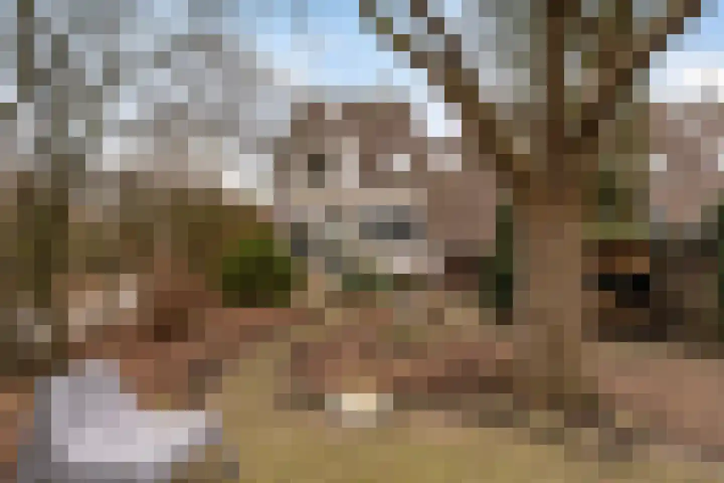 Staniastate 13 Leeuwarden thumbnail 30