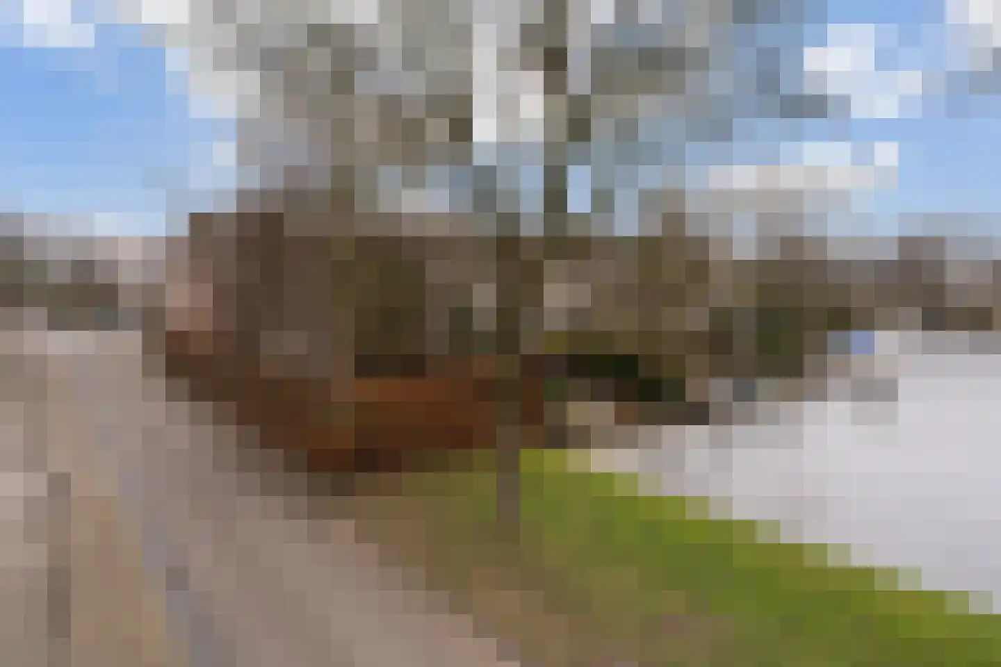 Staniastate 13 Leeuwarden thumbnail 53