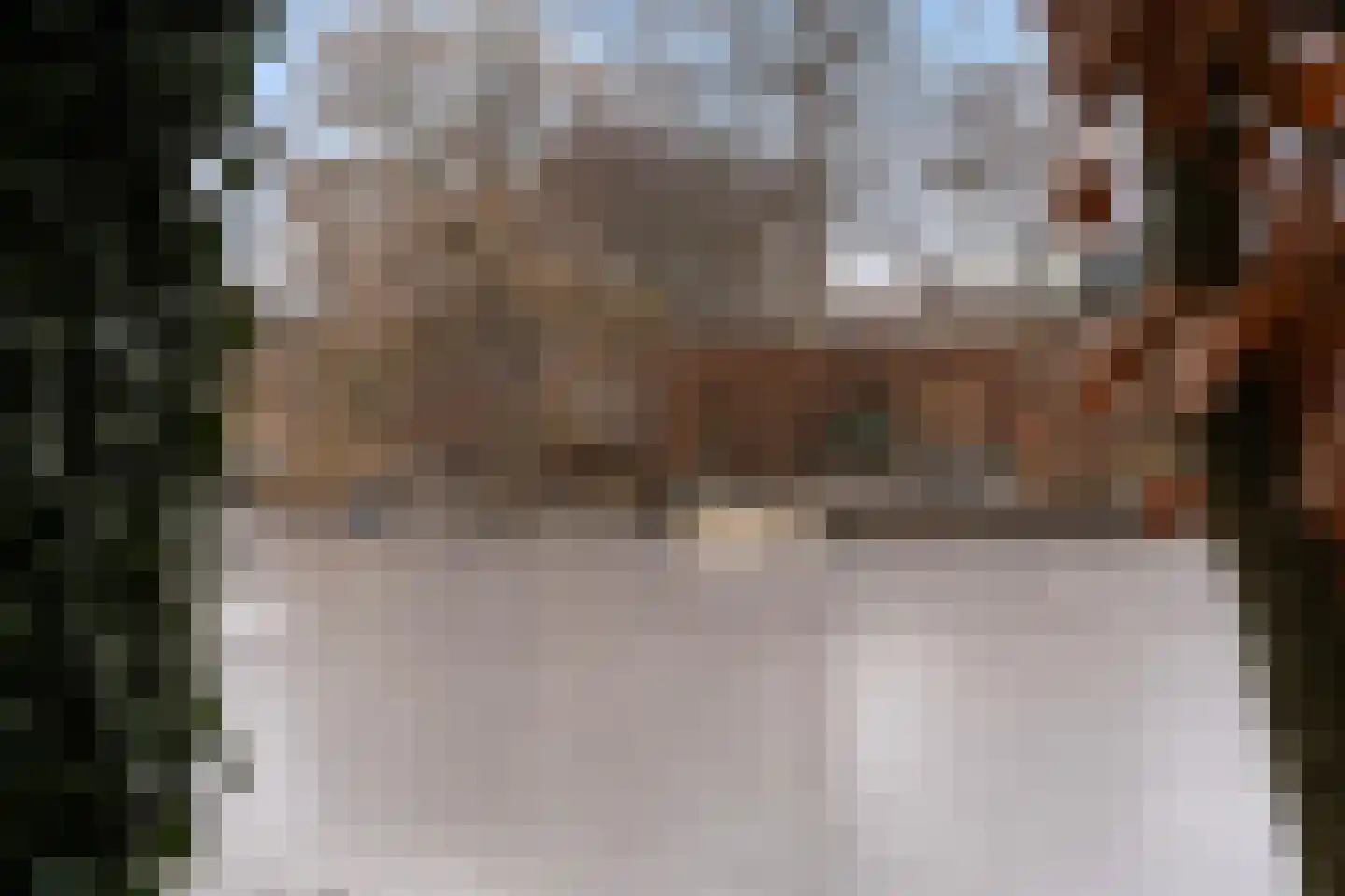 Staniastate 13 Leeuwarden thumbnail 55