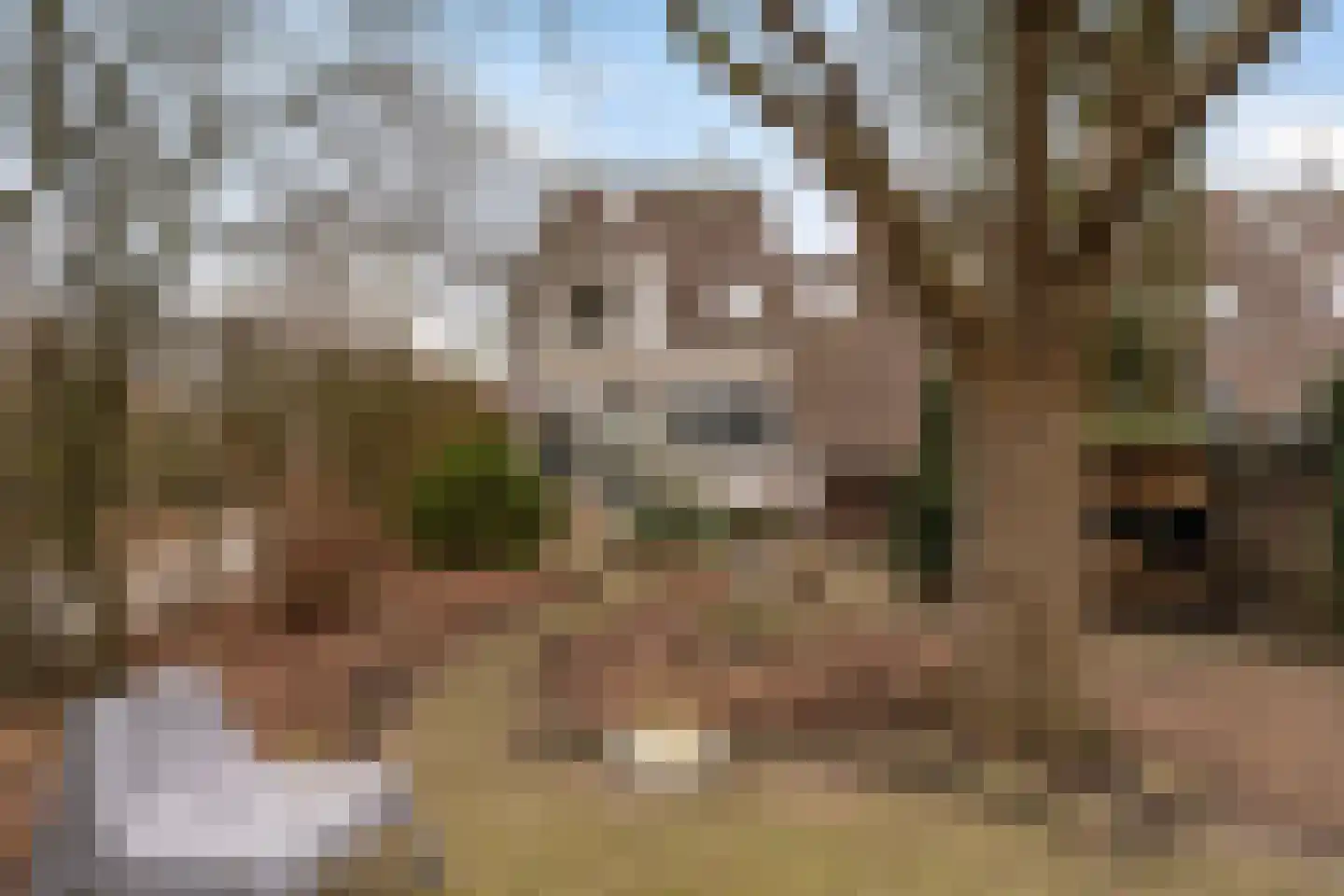 Staniastate 13 Leeuwarden thumbnail 56