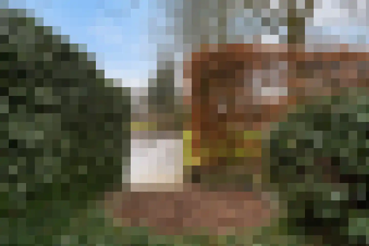 Staniastate 13 Leeuwarden thumbnail 6