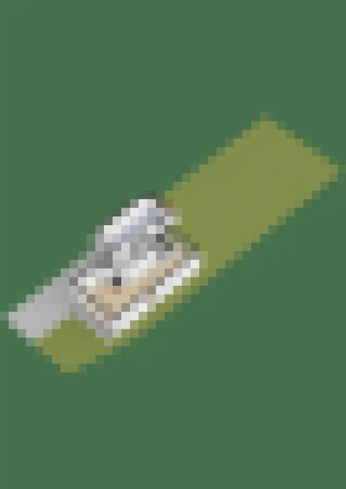 Staniastate 13 Leeuwarden thumbnail 64
