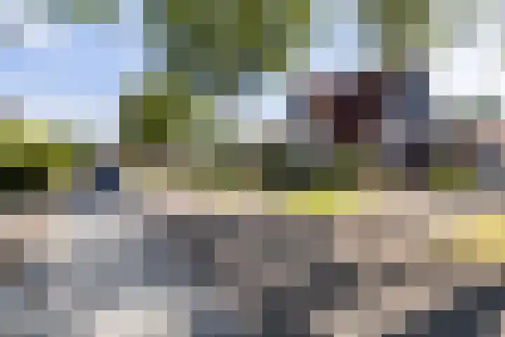 Staniastate 22 Leeuwarden thumbnail 10