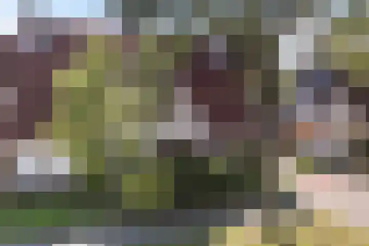 Staniastate 22 Leeuwarden thumbnail 16