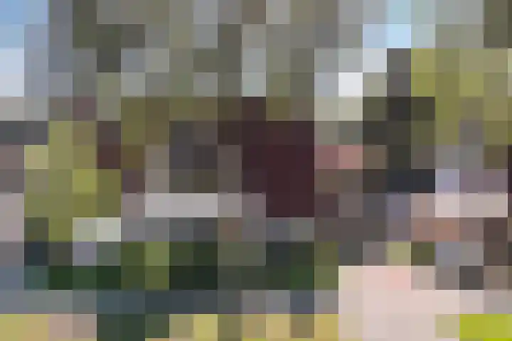 Staniastate 22 Leeuwarden thumbnail 17
