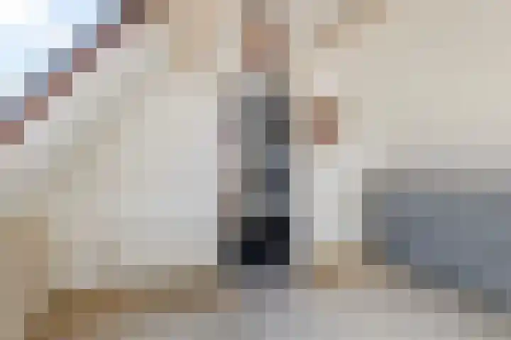 Staniastate 22 Leeuwarden thumbnail 53
