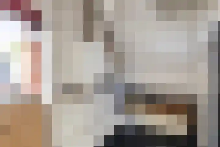 Staniastate 22 Leeuwarden thumbnail 54