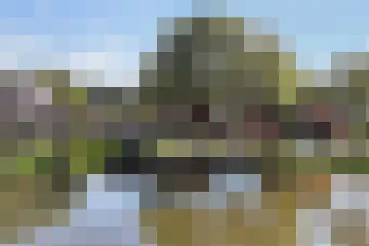 Staniastate 22 Leeuwarden thumbnail 7
