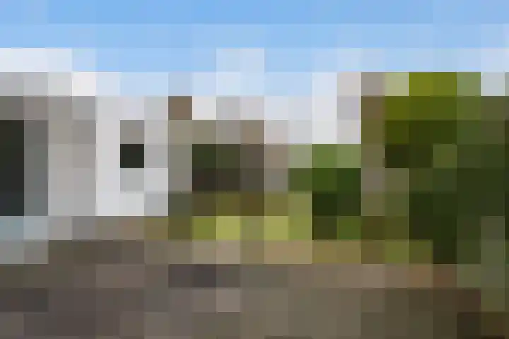 Staniastate 24 Leeuwarden thumbnail 12