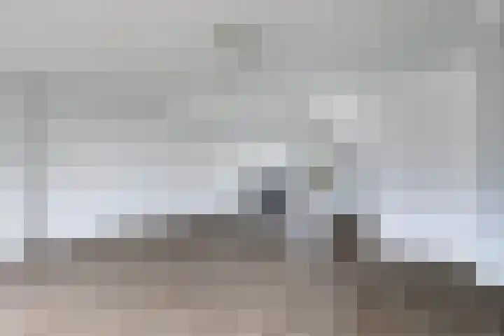 Staniastate 24 Leeuwarden thumbnail 22