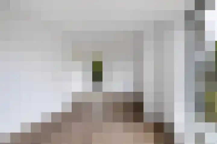 Staniastate 24 Leeuwarden thumbnail 26
