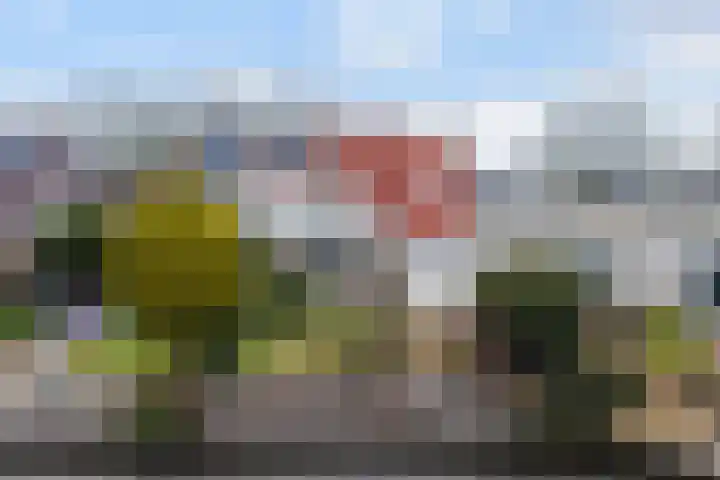 Staniastate 24 Leeuwarden thumbnail 9