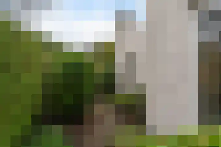 Staniastate 26 Leeuwarden thumbnail 12