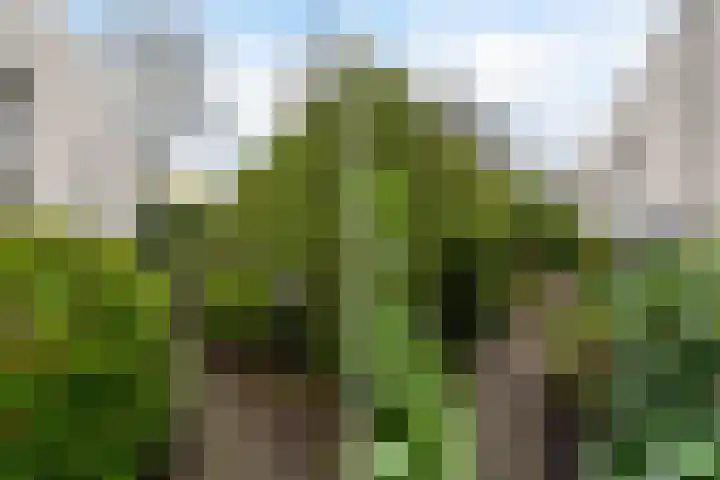 Staniastate 26 Leeuwarden thumbnail 13
