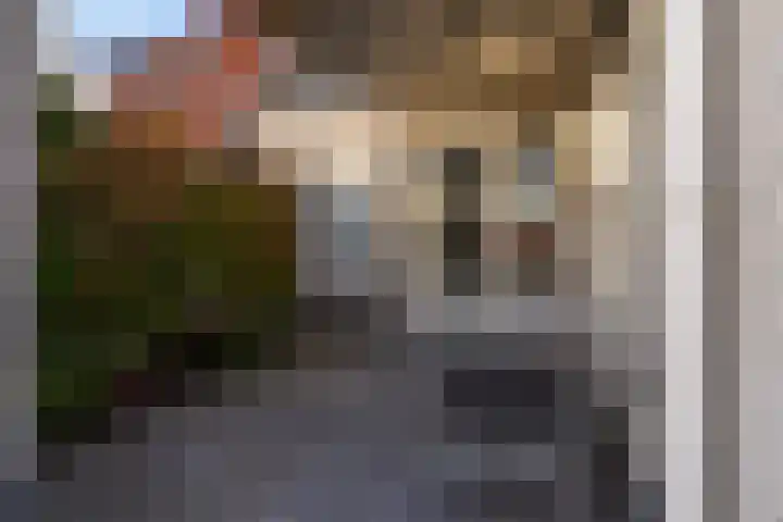 Staniastate 26 Leeuwarden thumbnail 53