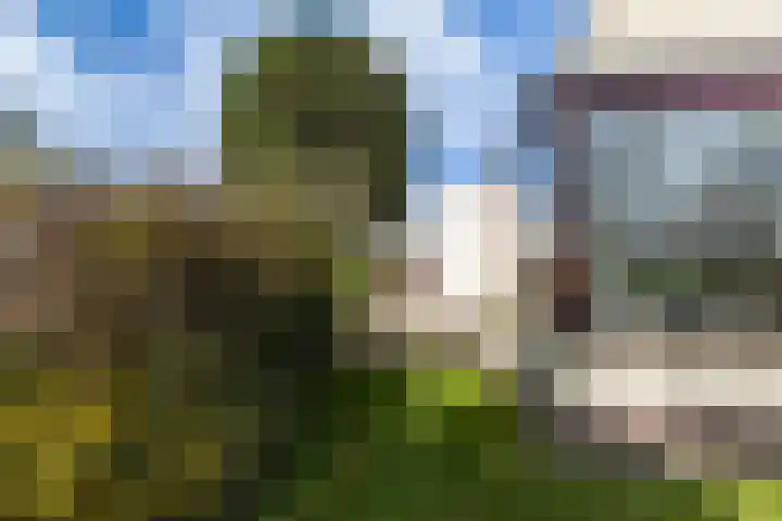 Staniastate 32 Leeuwarden thumbnail 15