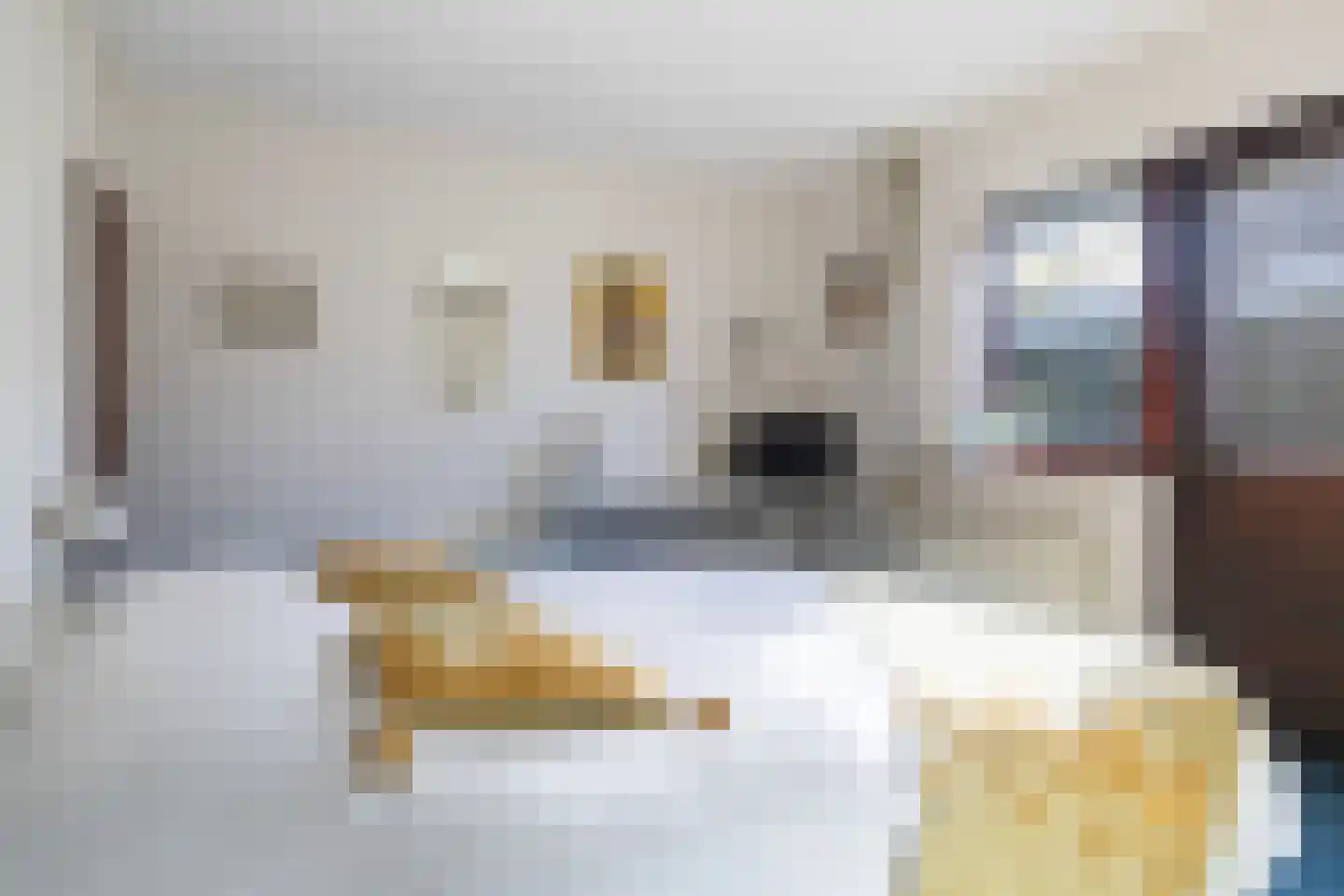 Staniastate 32 Leeuwarden thumbnail 39