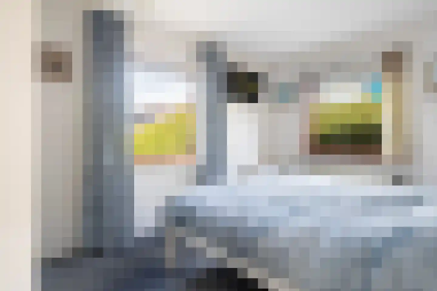 Staniastate 32 Leeuwarden thumbnail 41