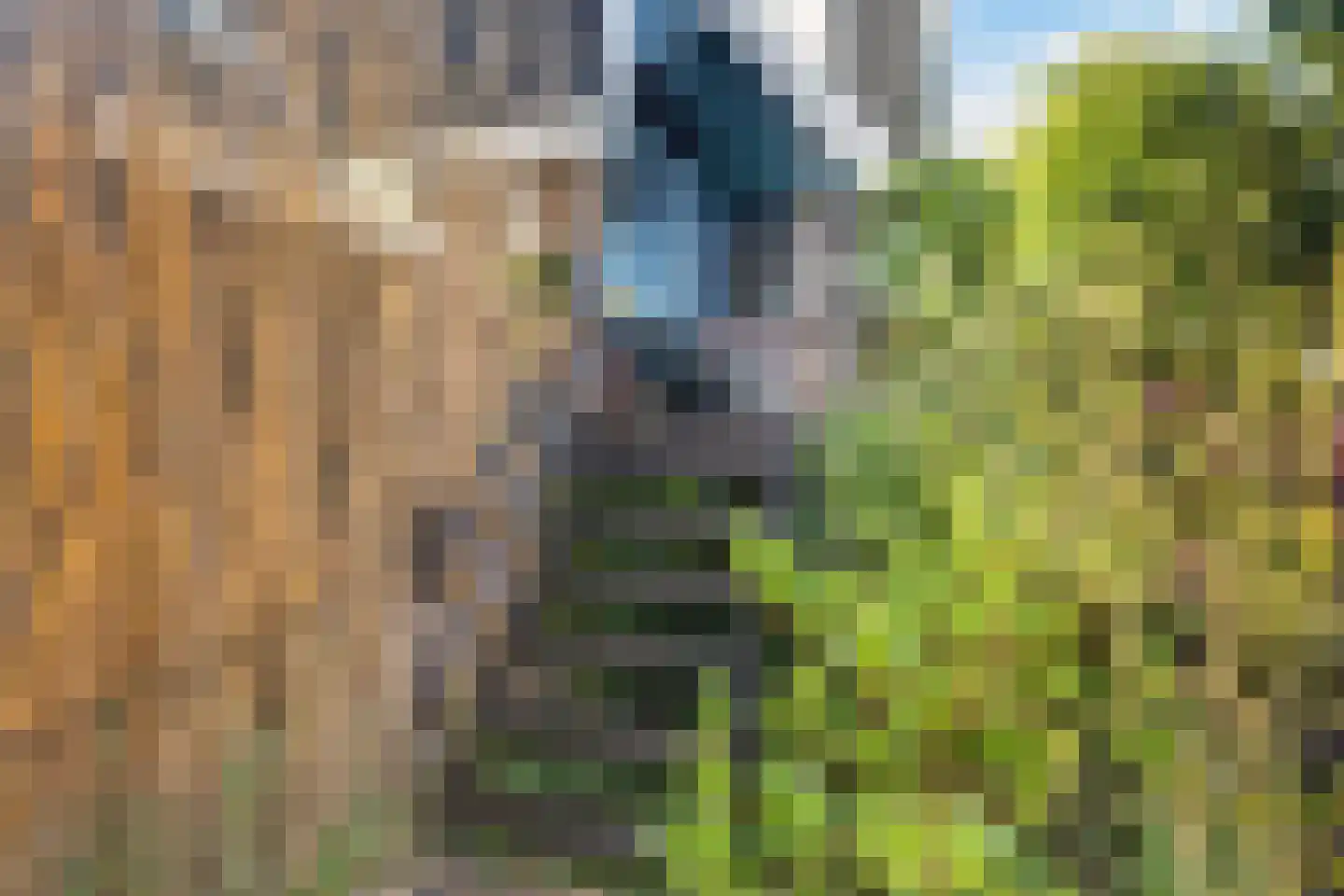 Staniastate 33 Leeuwarden thumbnail 11