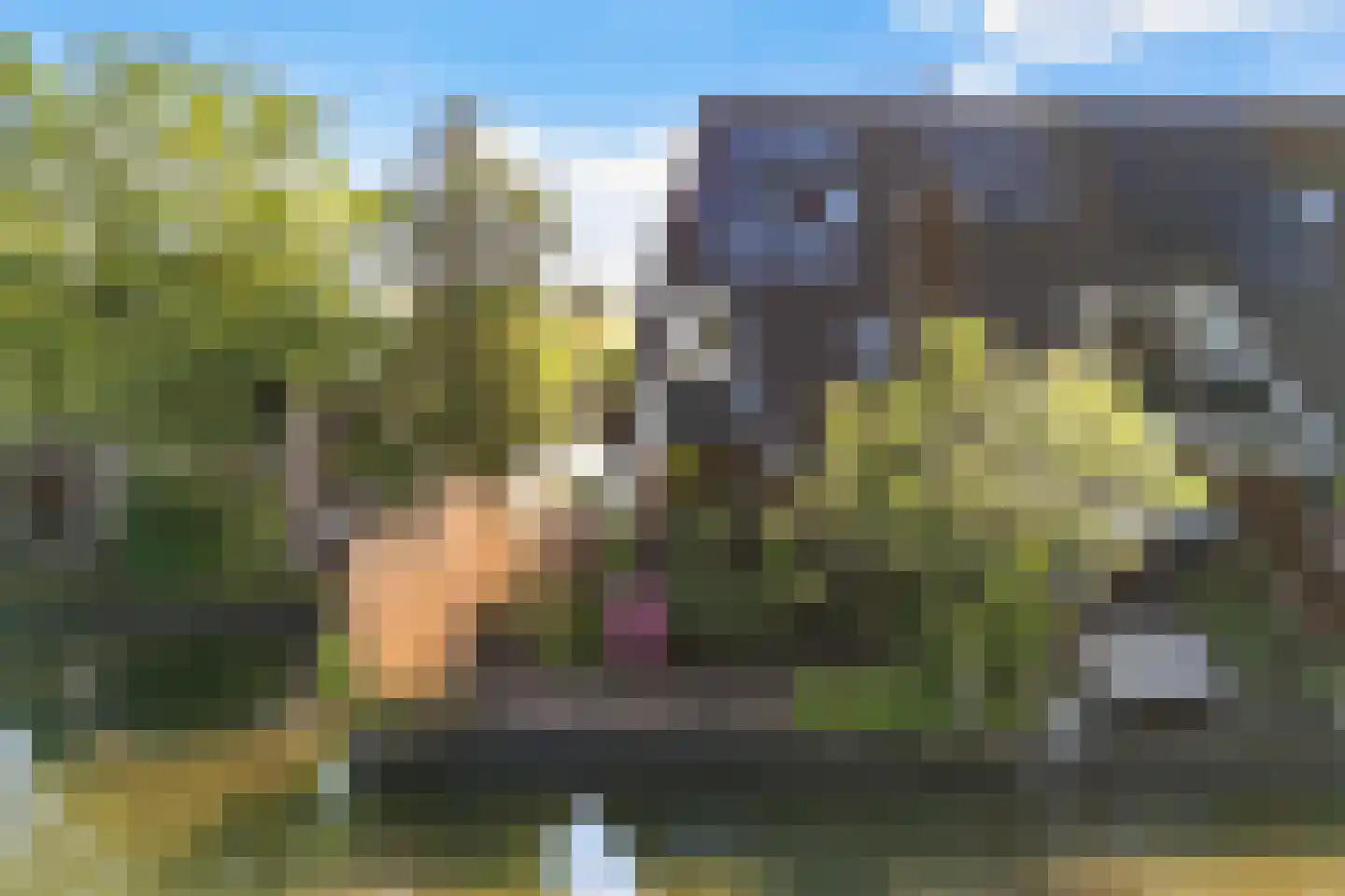 Staniastate 33 Leeuwarden thumbnail 14