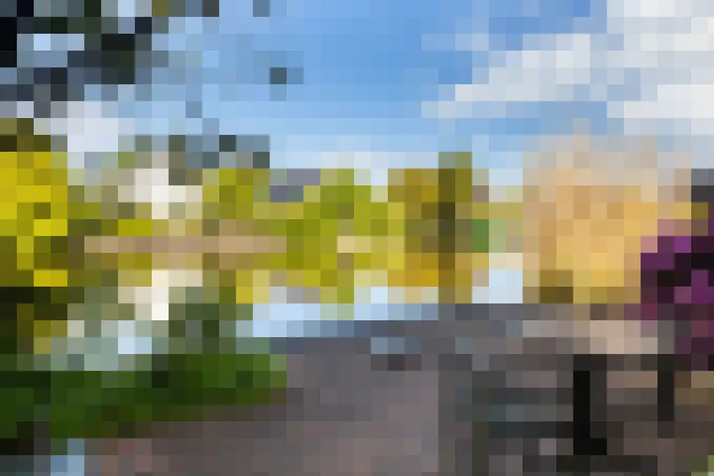 Staniastate 33 Leeuwarden thumbnail 16