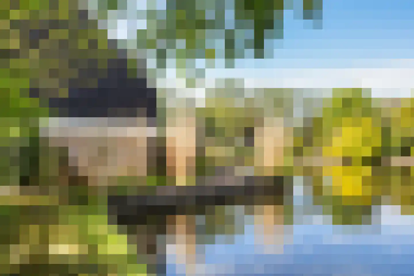Staniastate 33 Leeuwarden thumbnail 20