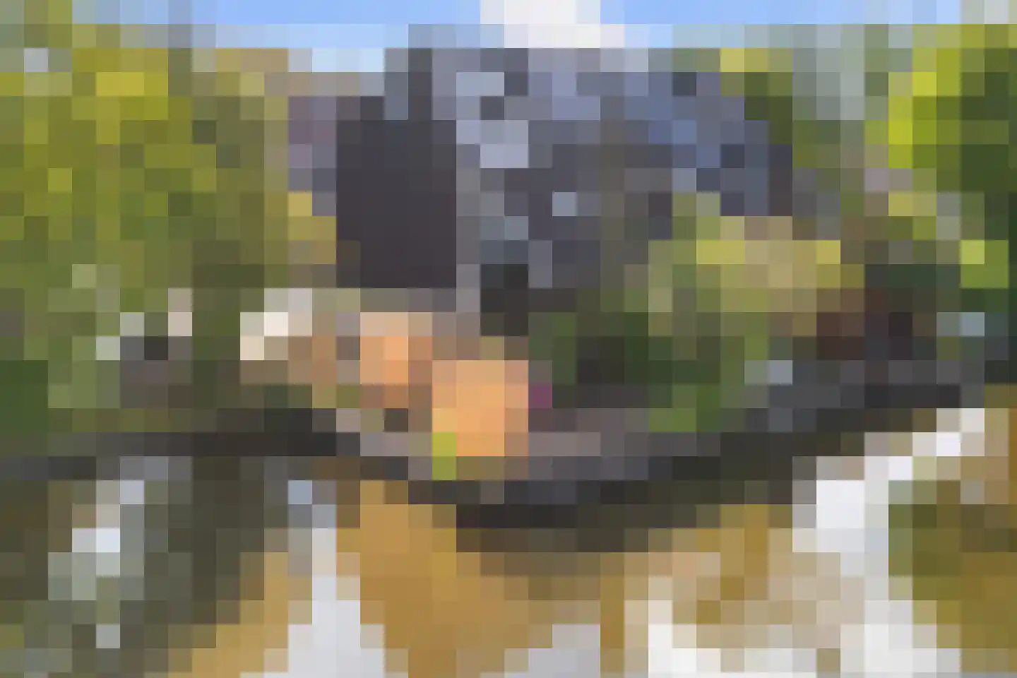 Staniastate 33 Leeuwarden thumbnail 4