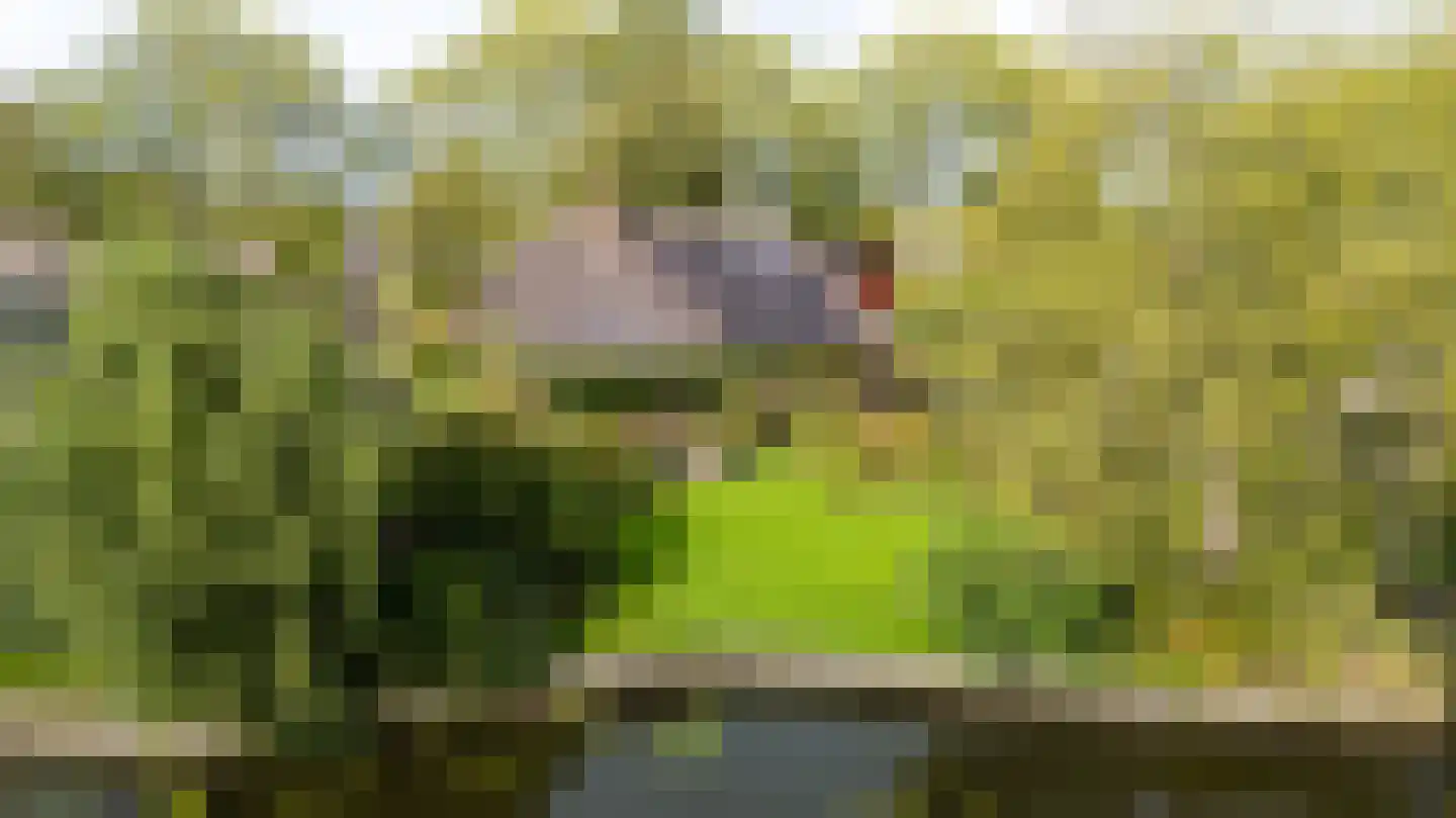 Staniastate 40 Leeuwarden thumbnail 22
