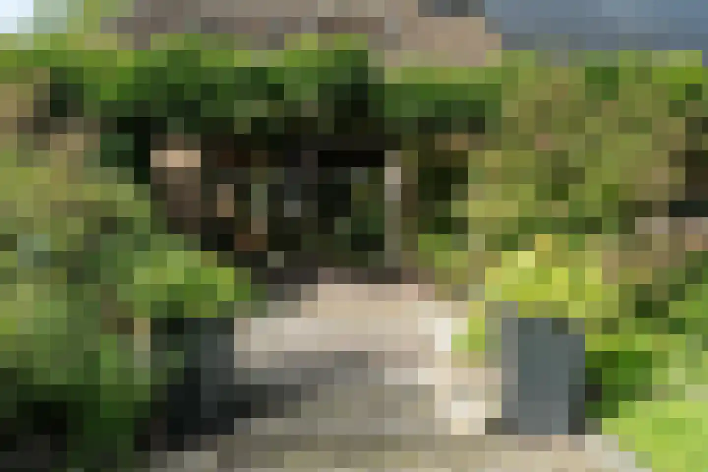 Staniastate 40 Leeuwarden thumbnail 24